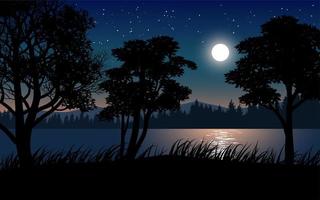 Beautiful Calm Night with Moon Over Lake 