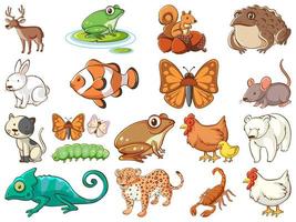 Large Set of Wildlife with Many Types of Animals