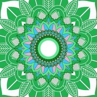 Mandala Pattern on White, Green Background vector