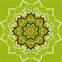 Mandala Pattern on Green Background vector