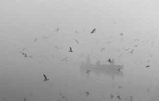 Seagulls flying over a boat on the Yamuna River in Delhi, India