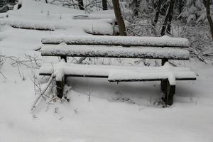 Bench in winter photo