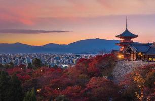 color otoñal del horizonte de kyoto
