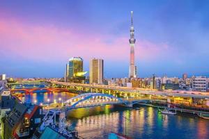 View of Tokyo skyline at sunset photo