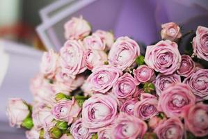 Bouquet of Happy Yo Yo Roses, small pink roses photo