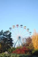 Ferris wheel among trees in park photo