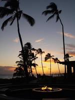 Sunset on the beach photo