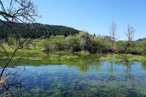 River Danube in Germany photo