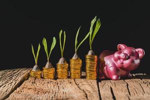Financial growth with interest photo