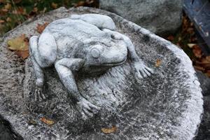 Stone frog sculpture