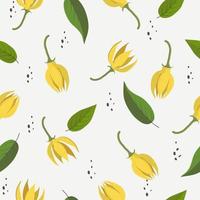 Ylang-ylang flower pattern vector