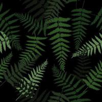 Green fern leaves pattern vector