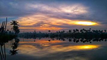 palmeras al atardecer foto