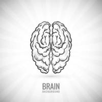 Hand draw brain sketch background vector