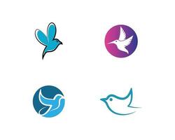 Hummingbird logo template  vector