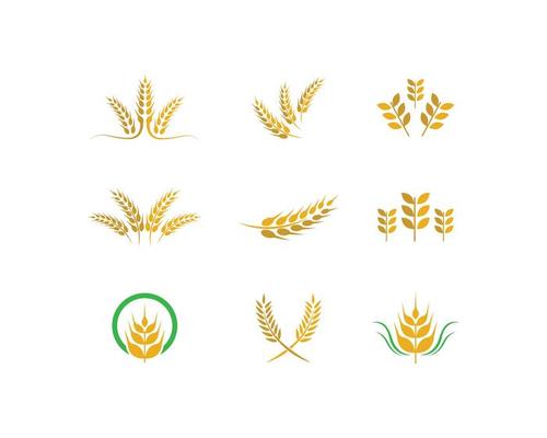 Wheat Logo Vector Art, Icons, and Graphics for Free Download