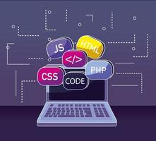 concepto de programación y codificación vector