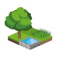 Isometric trees and water source icon vector