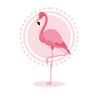 Beautiful flamingo bird stand vector