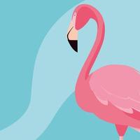 Beautiful flamingo bird stand vector