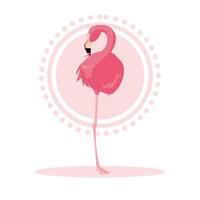 Beautiful flamingo bird stand vector