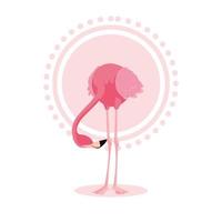 Beautiful flamingo bird stand vector