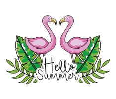 Flamingos with tropical leaves for summer design vector