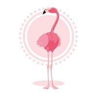 Beautiful flamingo bird stand vector