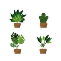 Potted plants icon set vector