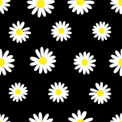 Daisy flower background pattern