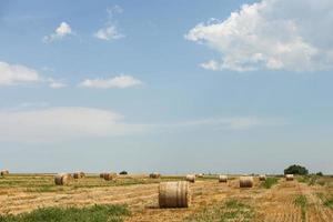 Hay bales in a field photo