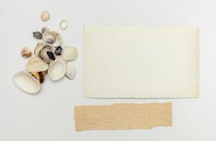 Flat lay of paper with seashells photo