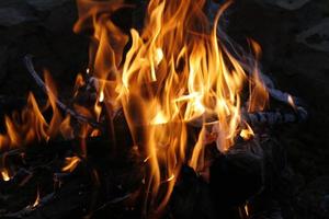 Burning campfire flames