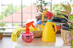 Watering can and spray bottle photo