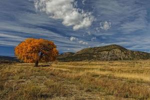 Autumn foliage and mountain under a blue sky photo