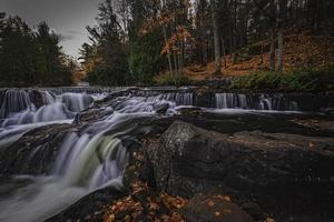 río que fluye en un bosque foto