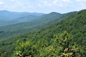 Forest on the Appalachian mountains photo