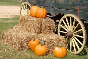 Pumpkins at a wagon photo