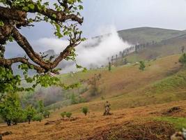 A village on the mountains in Gilan city photo