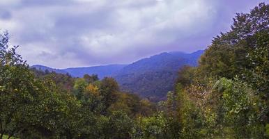 Jungle and foggy mountains photo