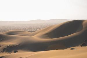 Desert in summer season photo