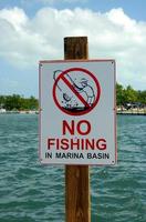 No fishing sign photo
