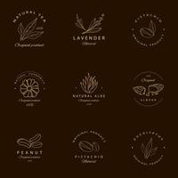 Golden line style natural food and plant emblems vector