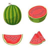 Whole and sliced watermelon set vector