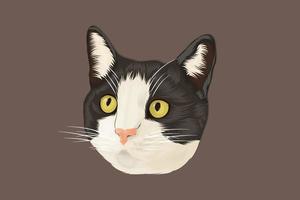 Black and white cat head in realistic style vector