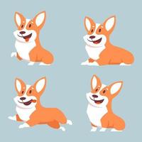 Corgi dog in different poses vector