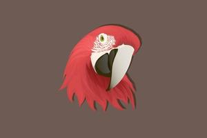 Realistic style red parrot hand drawing vector