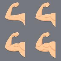 Arm with contracted biceps set vector