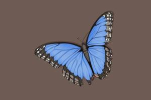 Beautiful blue butterfly with graceful wings vector