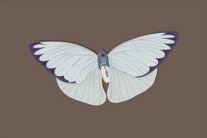 White and purple butterfly realistic hand drawing